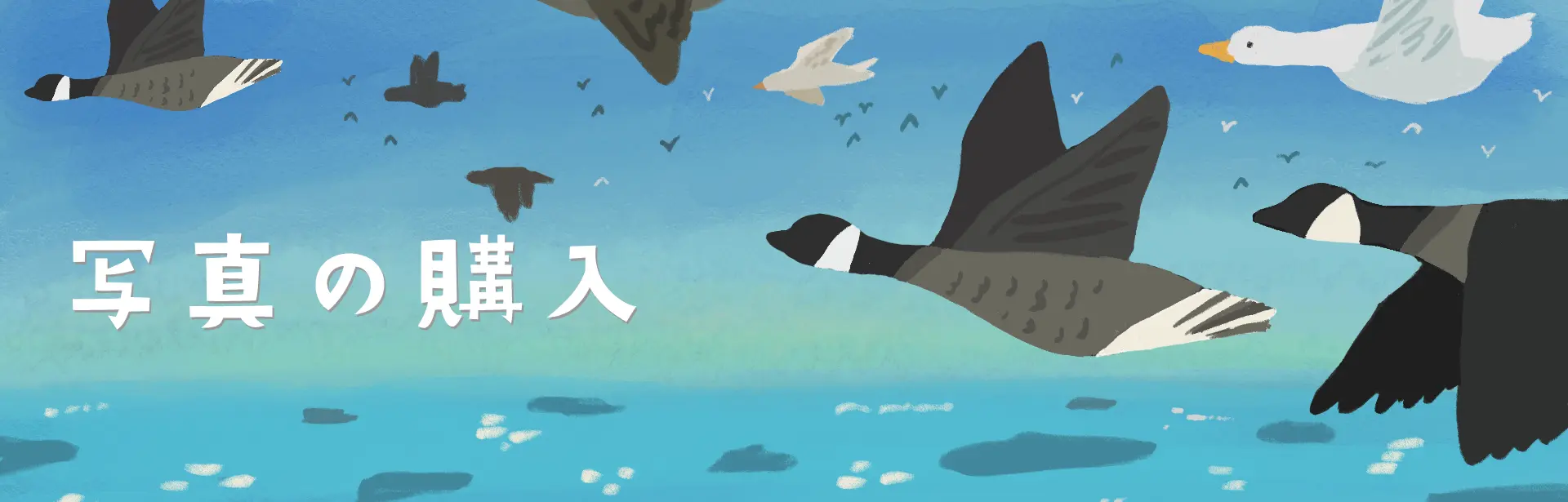写真の購入