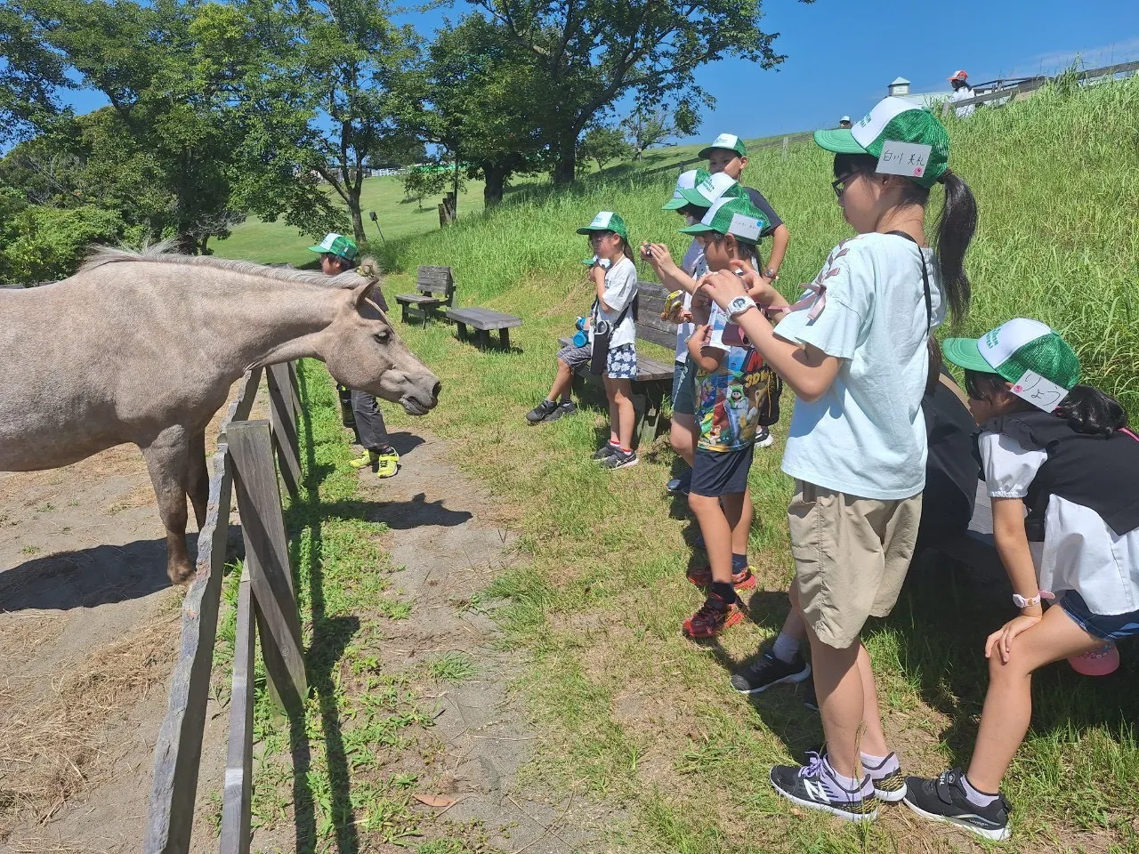 夜のミーティングで明日の説明をしている様子